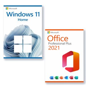 3 PC Windows 10 Home + Office 2021 Professional Plus