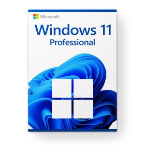 3 PC Windows 11 Professional