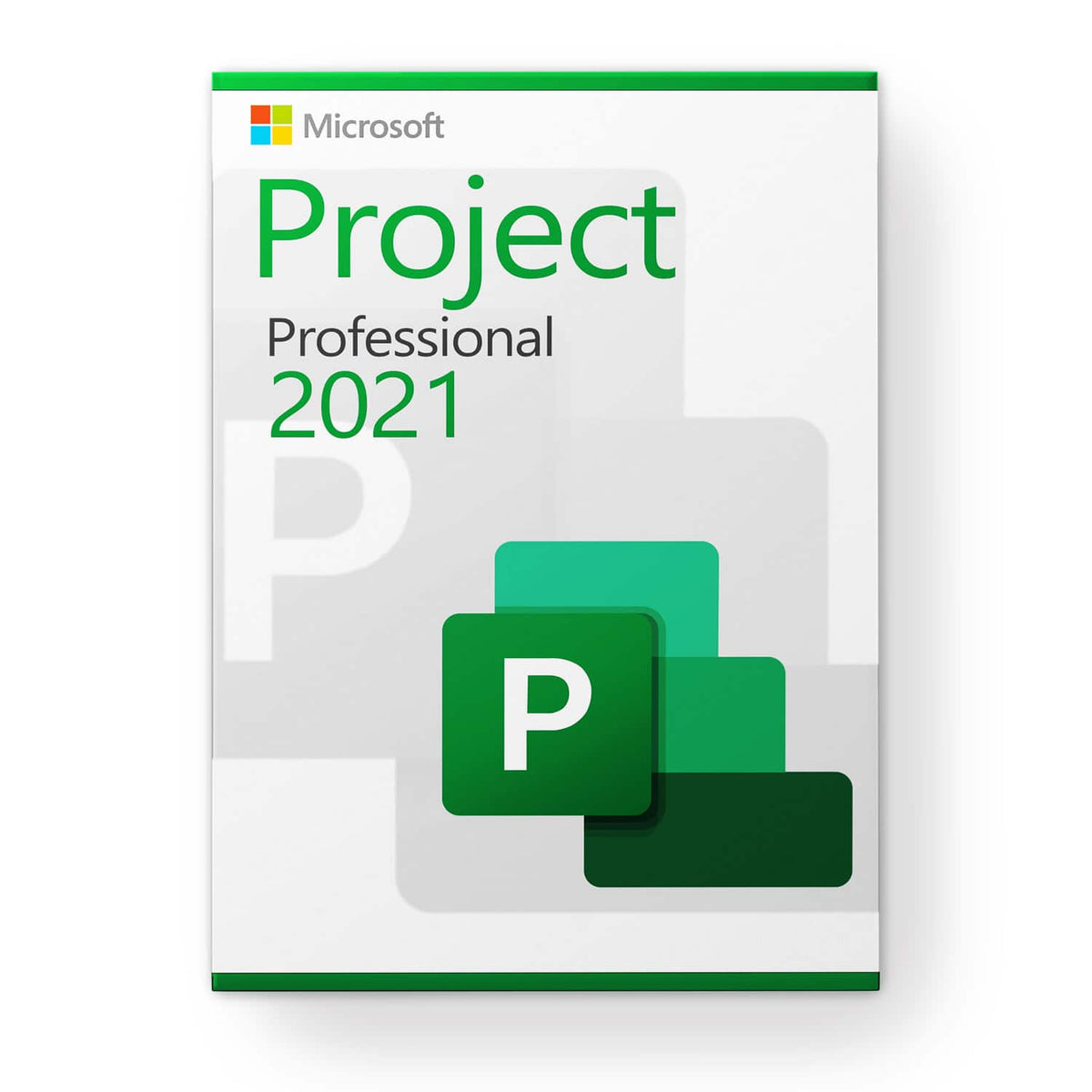 3 PC Project 2021 Professional