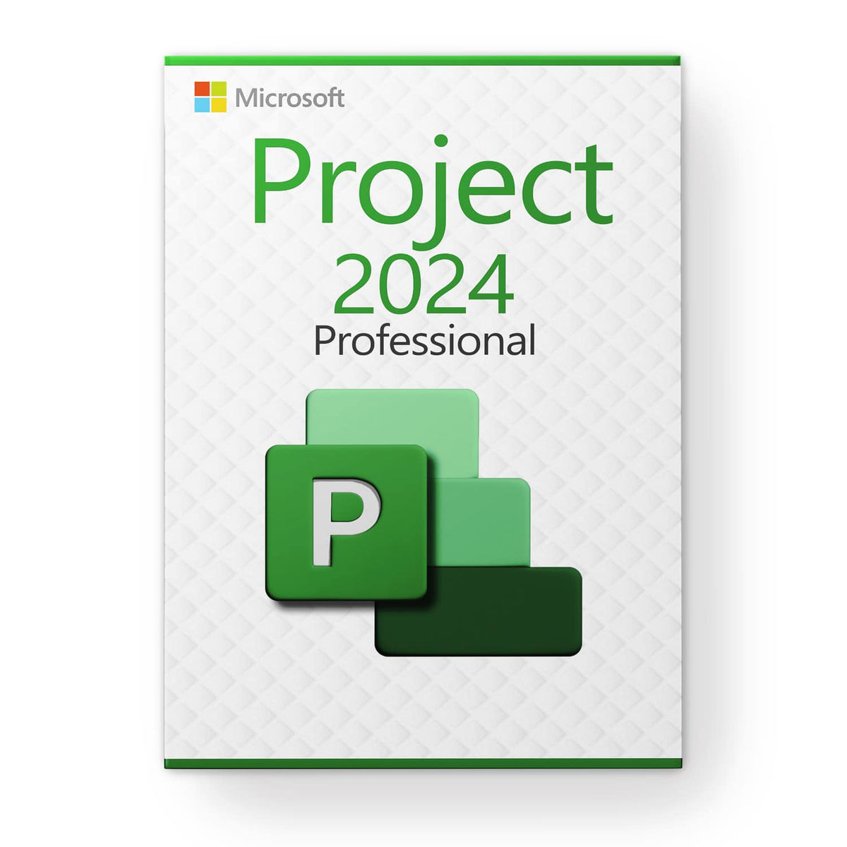3 PC Project 2024 Professional