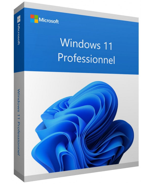 3 PC Windows 11 Professional